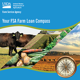 FSA Farm Loan Compass document